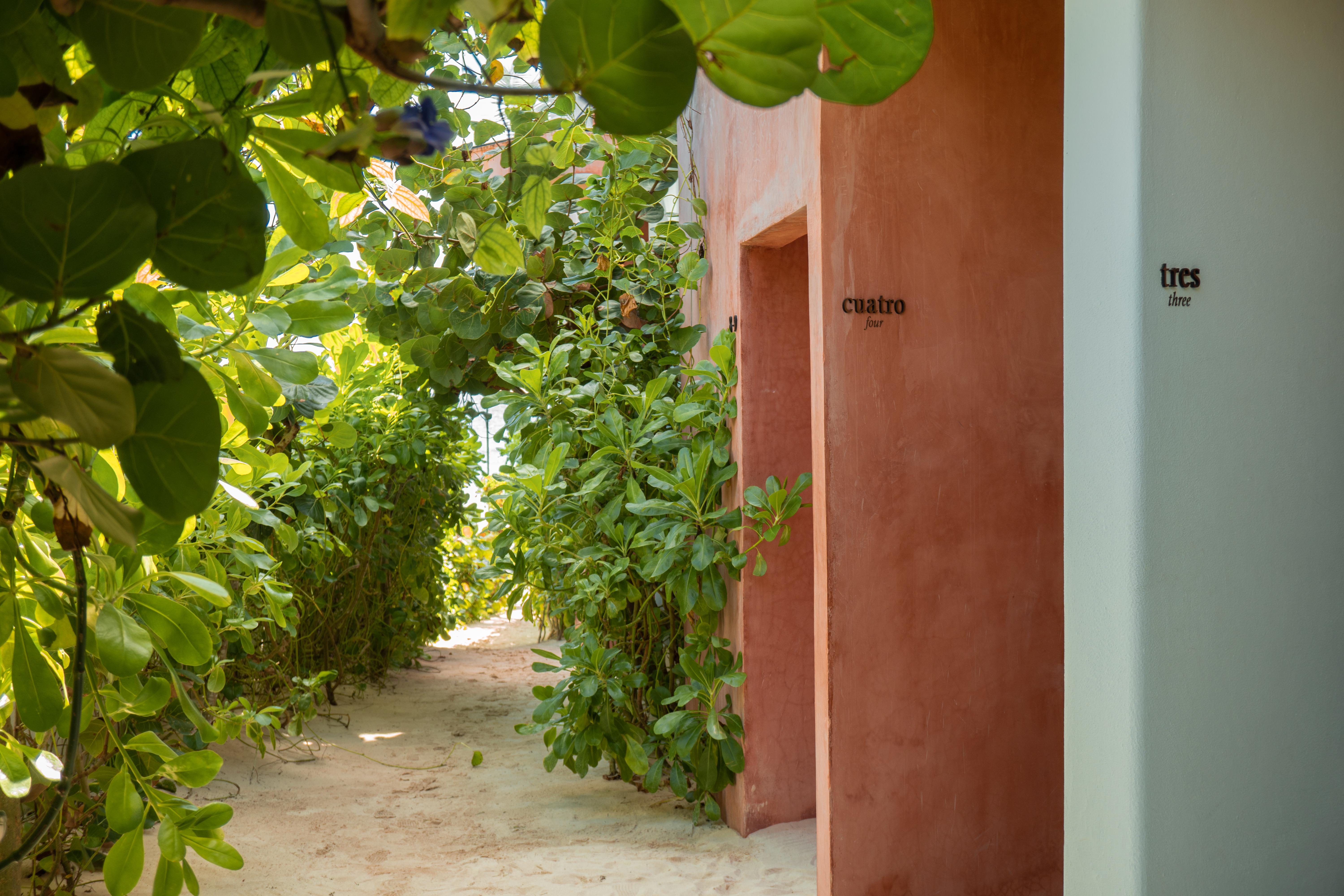 Tago Tulum By G Hotels المظهر الخارجي الصورة