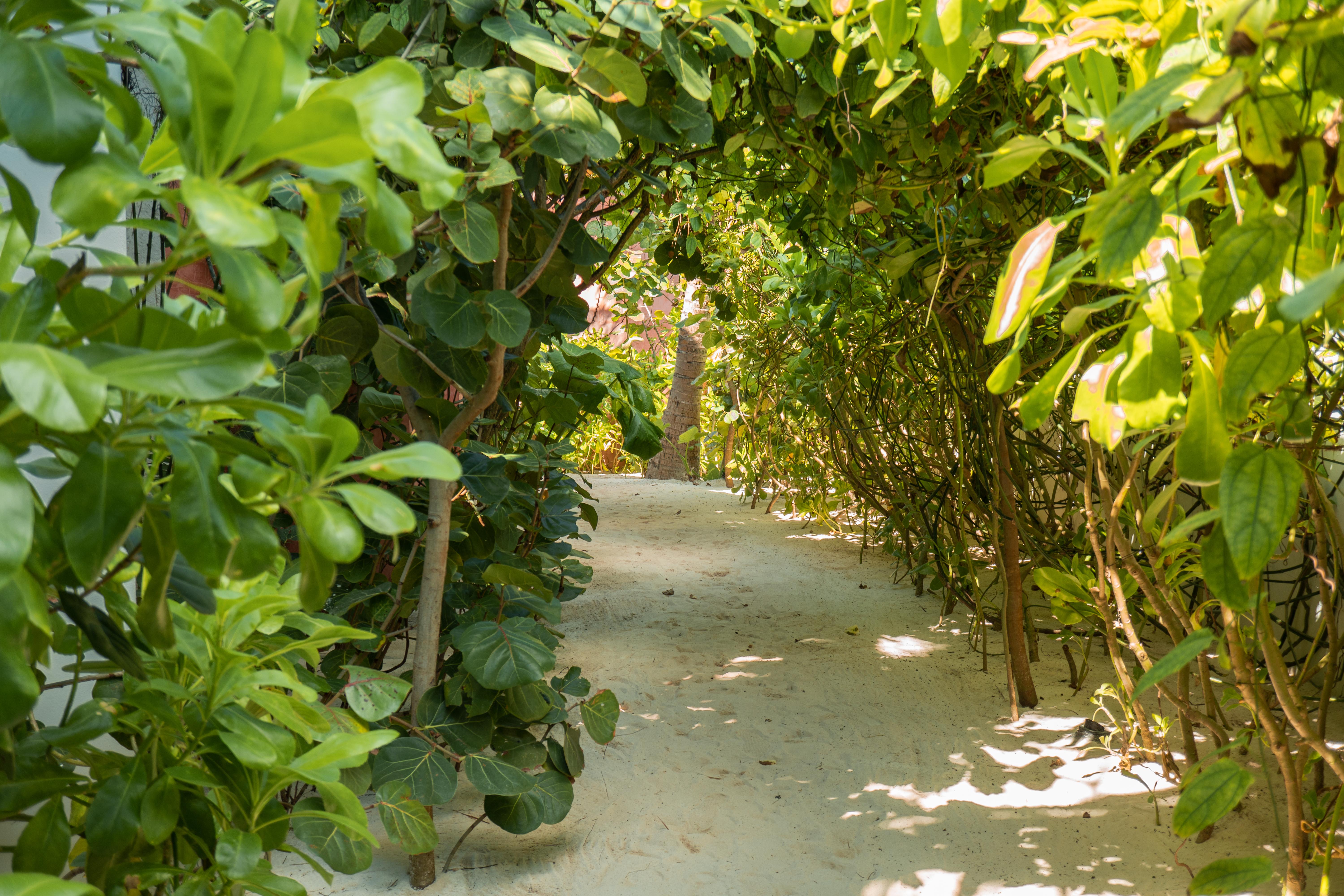 Tago Tulum By G Hotels المظهر الخارجي الصورة