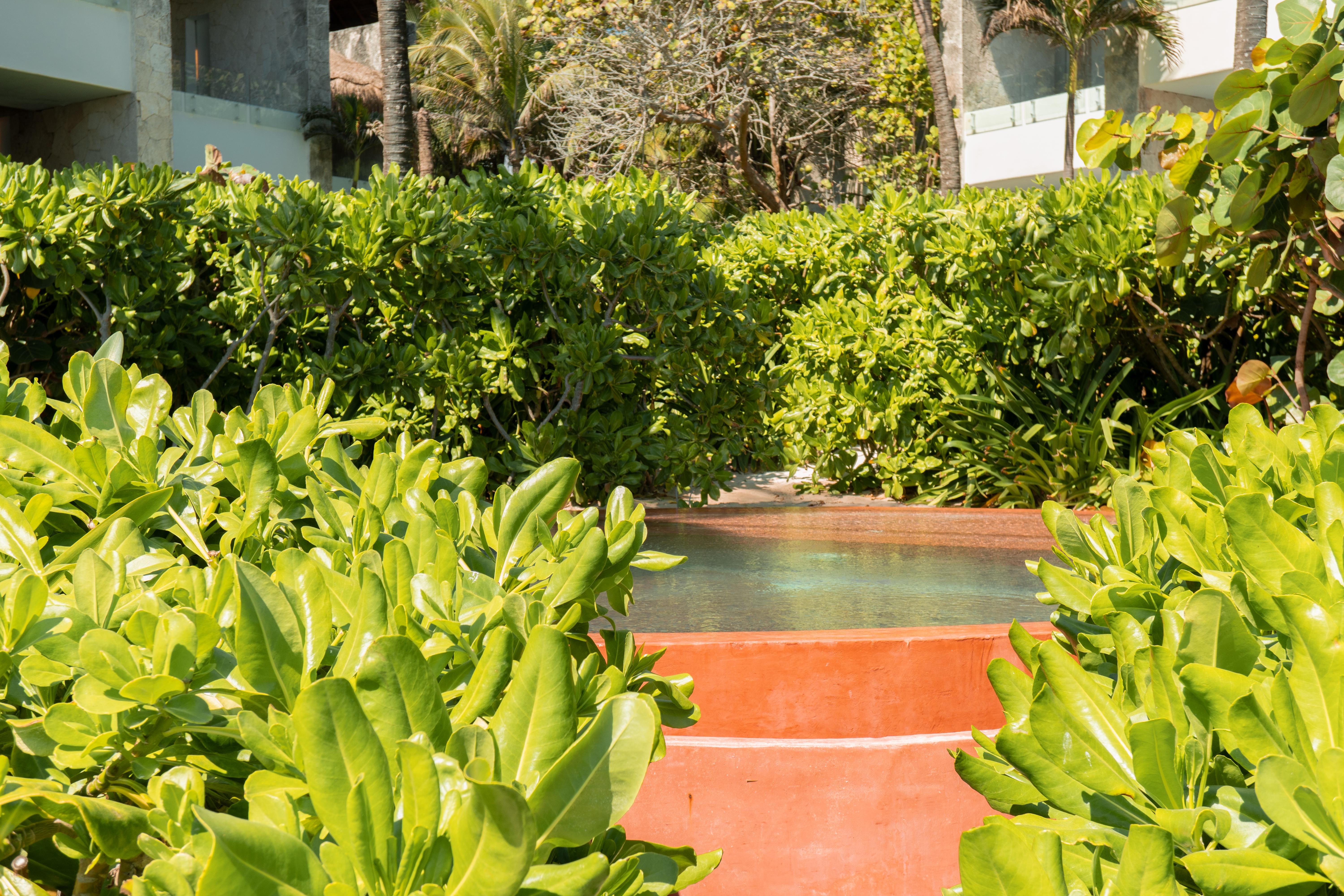 Tago Tulum By G Hotels المظهر الخارجي الصورة